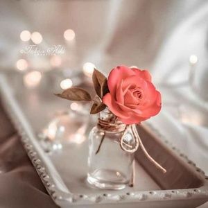 Meet your Posher, Nimitha